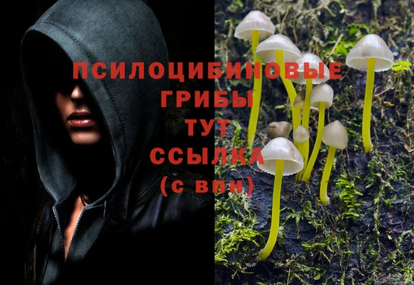 COCAINE Богородск
