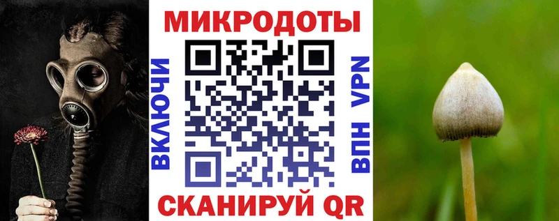 Псилоцибиновые грибы Cubensis  Верея 